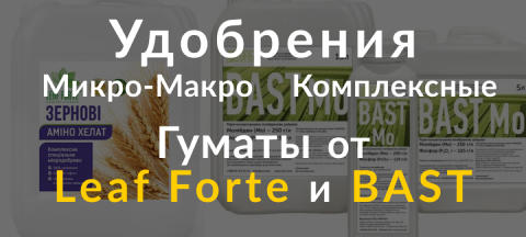 Banner from design