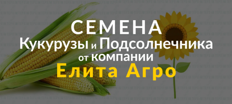 Banner from design