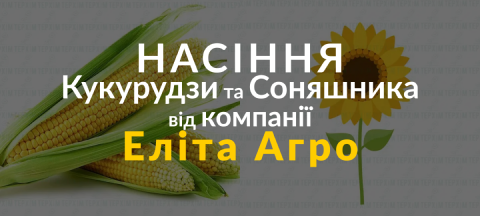 Банер маленький насіння