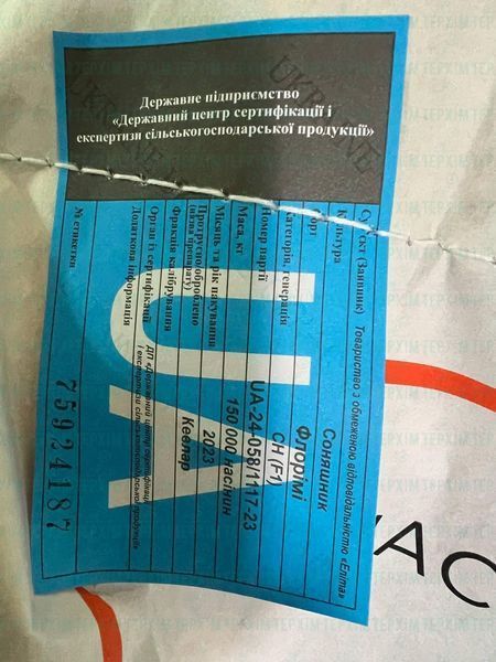 Насіння соняшника Флорімі (Еліта Агро) 2023г фото