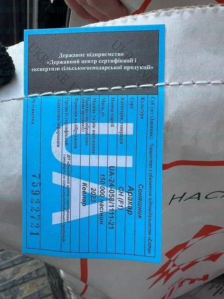 Семена подсолнечника Аракар (Елита Агро) ЕКСТРА 2023г  фото